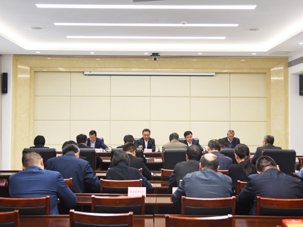 市审计局党组理论学习中心组举行集体学习