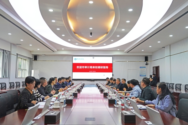 丁林桥赴济南职业学院审计现场调研指导工作