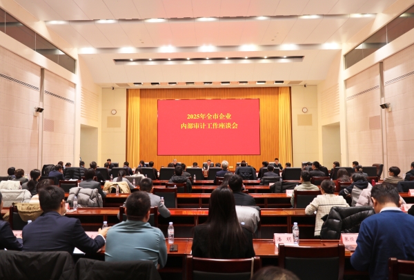 市审计局召开2025年度全市企业内部审计工作座谈会