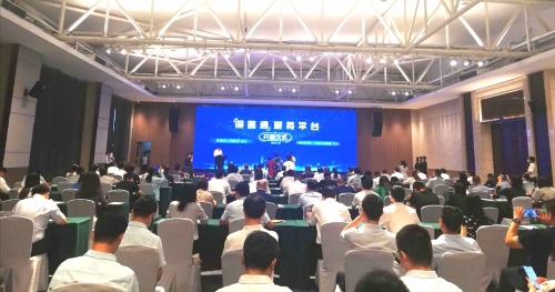 pic2.jpg