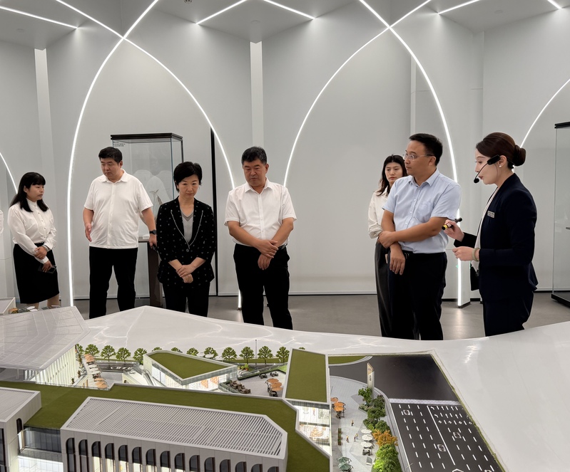 市审计局建立领导班子成员联系指导区县审计工作机制.jpg